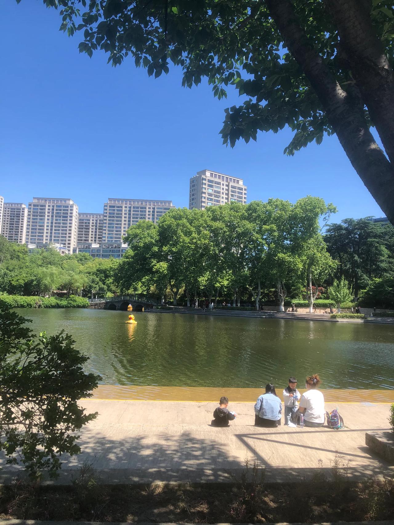 我觉得人这辈子最重要的，就是活得踏实心安。身体健康，家人平安、和睦，身边有几个真