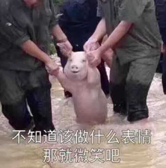 上班上的清白都没了，周五午休的茶水间本来一片欢声笑语，直到我和大叔聊到...