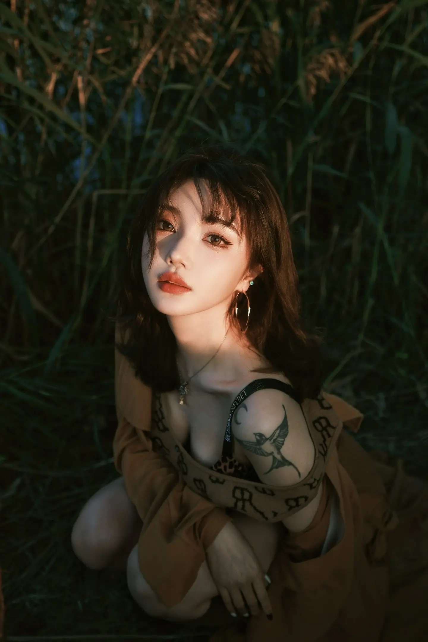 湖边 芦苇 夕阳。