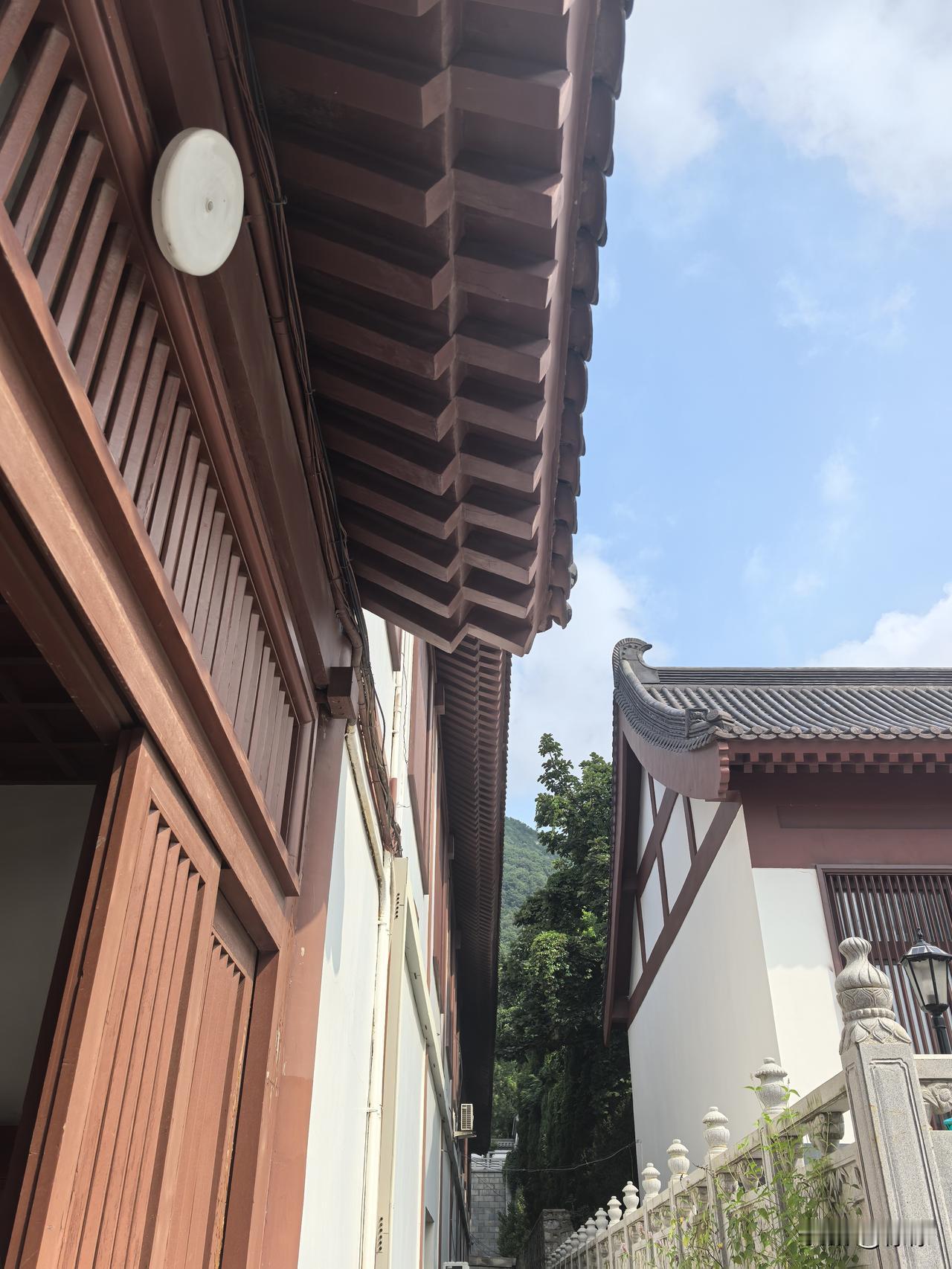 人生的真相究竟是什么？