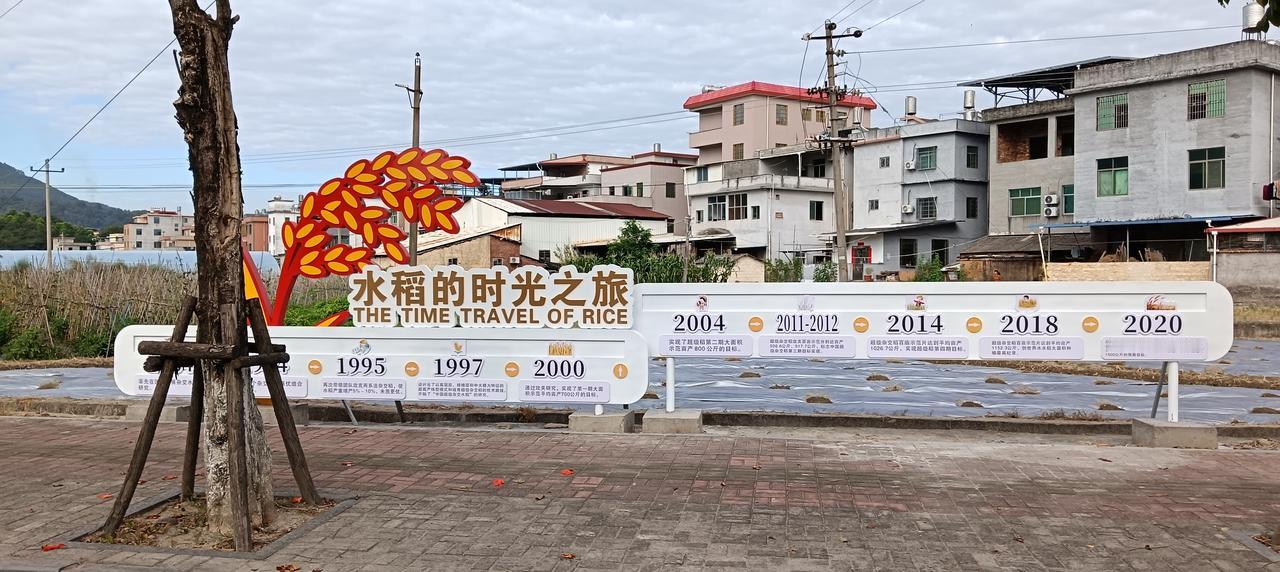 《水稻时光之旅》