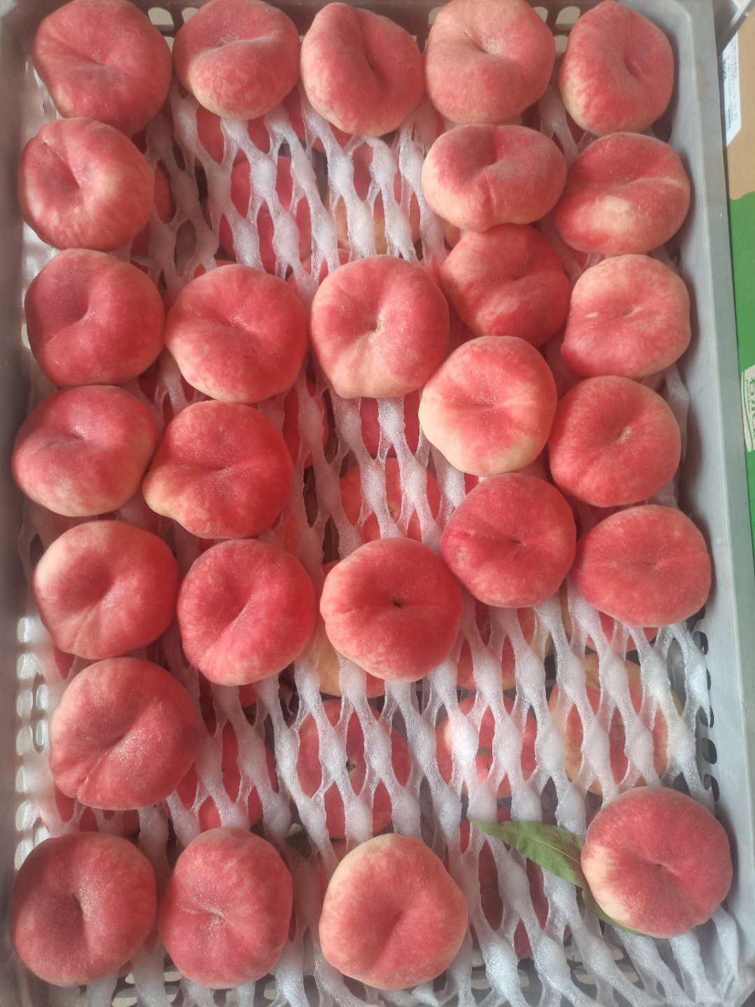 不错不错，味道好极了 
