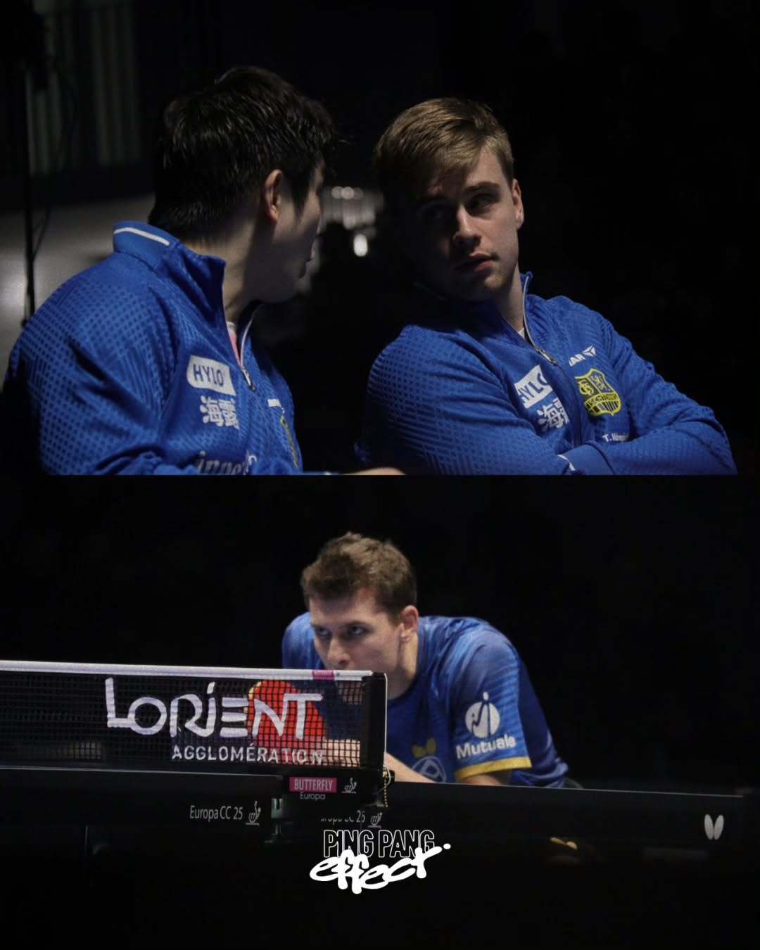 樊振东 🏓乒乓球欧冠联赛 【20251218】【图片】cr Instagram