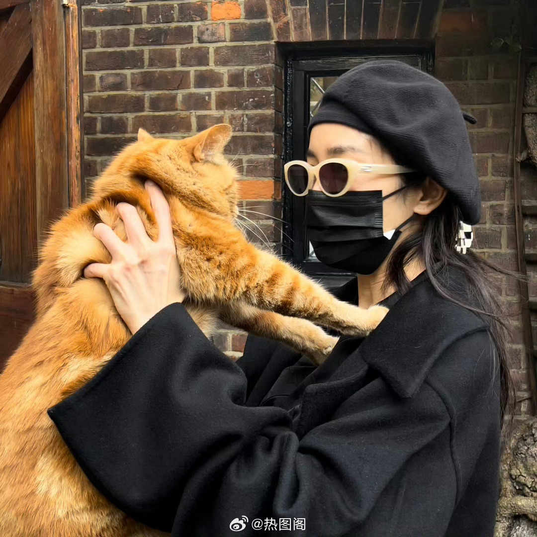 杨幂 💚看日常图，进化眼睛。晚安我的世界🍃 热图阁公众号 