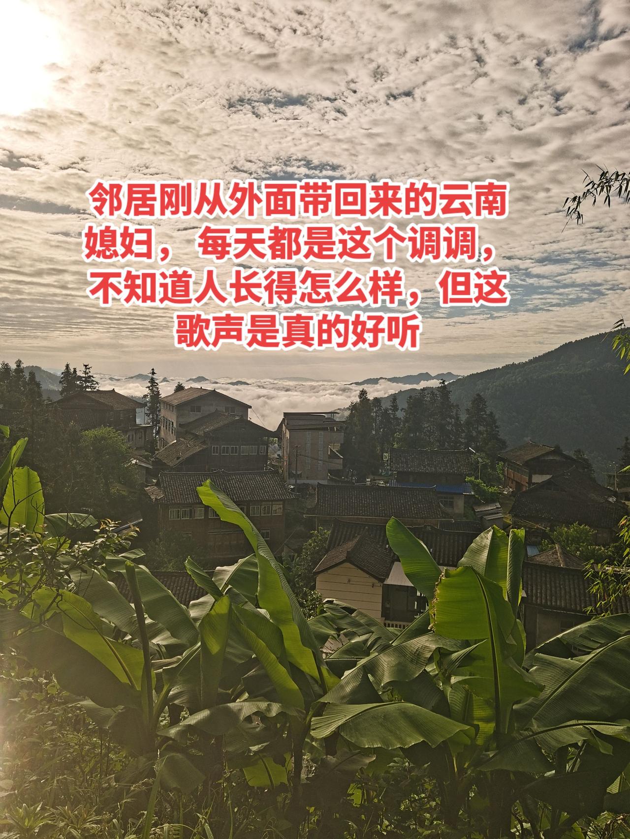 邻居刚从外面带回来的云南媳妇，
每天都是这个调调，不知道人长得怎么样，但这歌声是