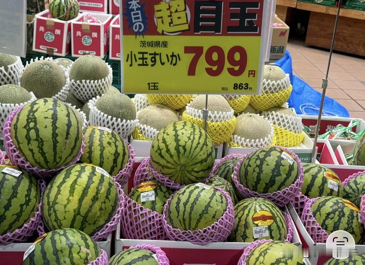 这应该是很便宜的日本西瓜了。
茨城县产。
一个799日元（不含税）。
不过，它的