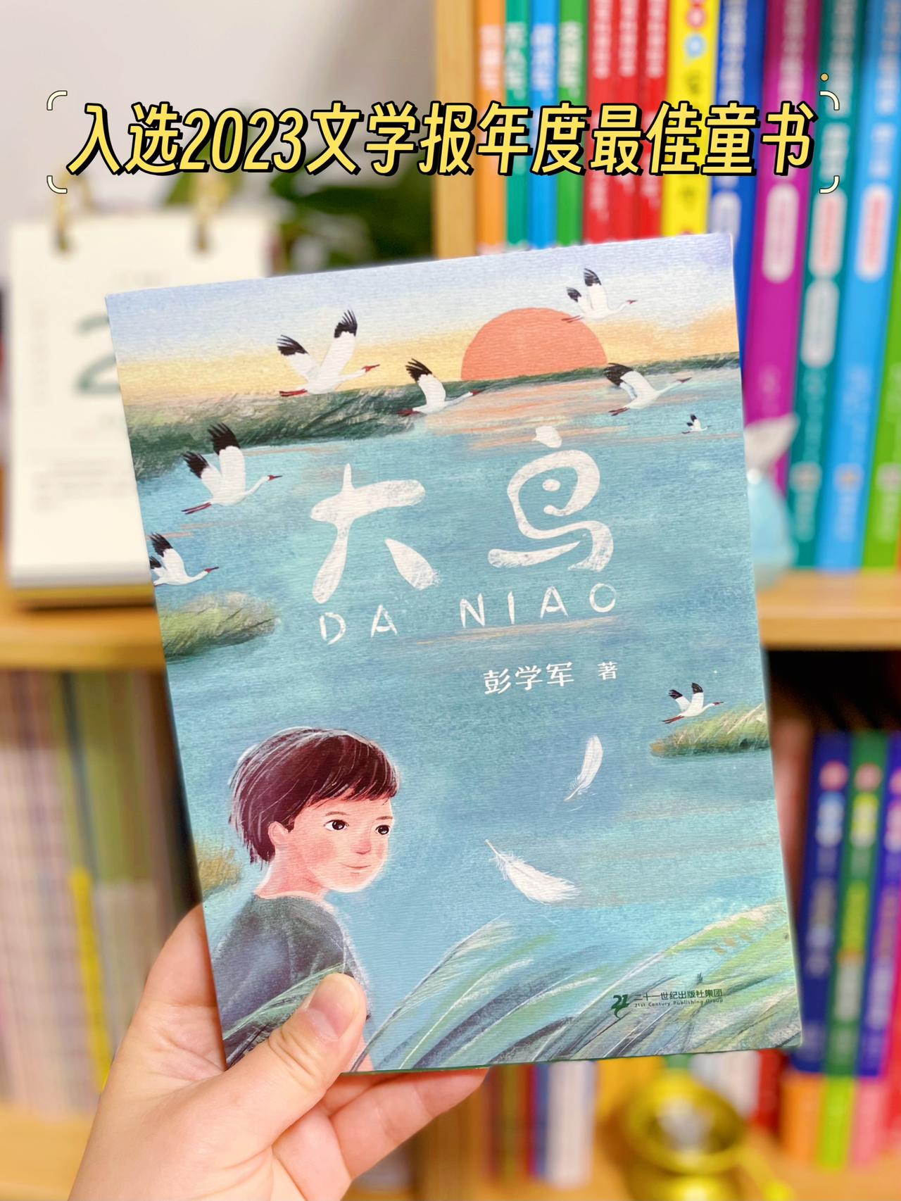 被同学争相预约借看的儿童文学书，到底有什么魅力？

最近娃完全被《大鸟》这本儿童
