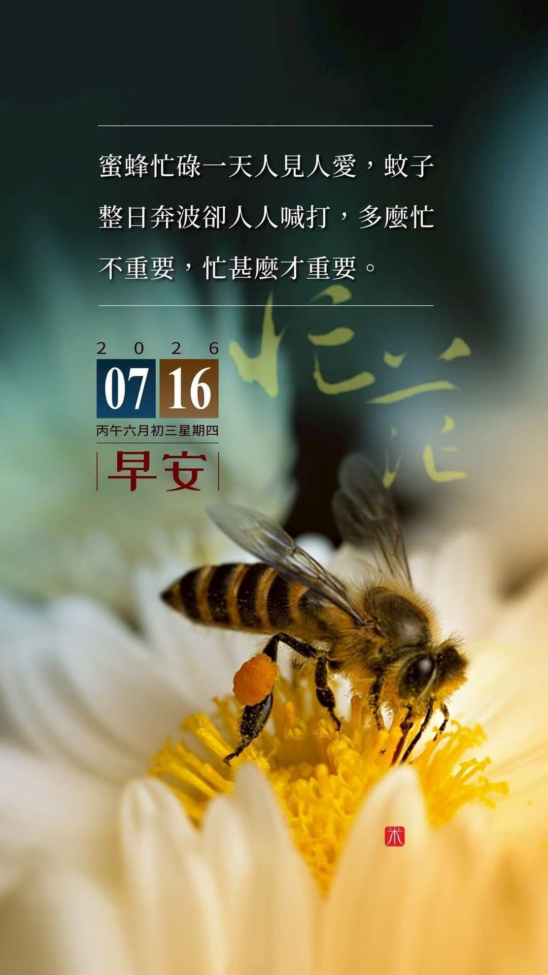 阿根廷绝杀英格兰 也好，省得欧洲一家独大，看到最后以为是踢欧洲杯