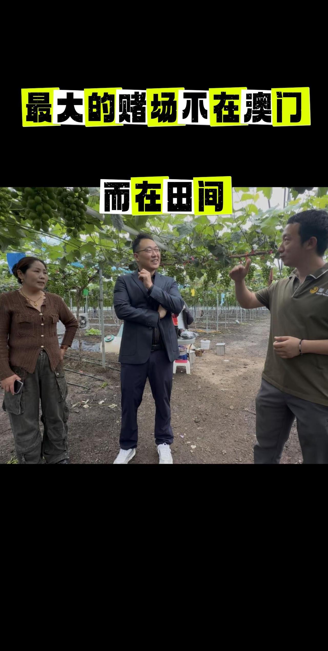 最大“赌场”不在澳门，而在田间！农业赌徒。最大的赌徒不在灯红酒绿的赌场，而在咱们