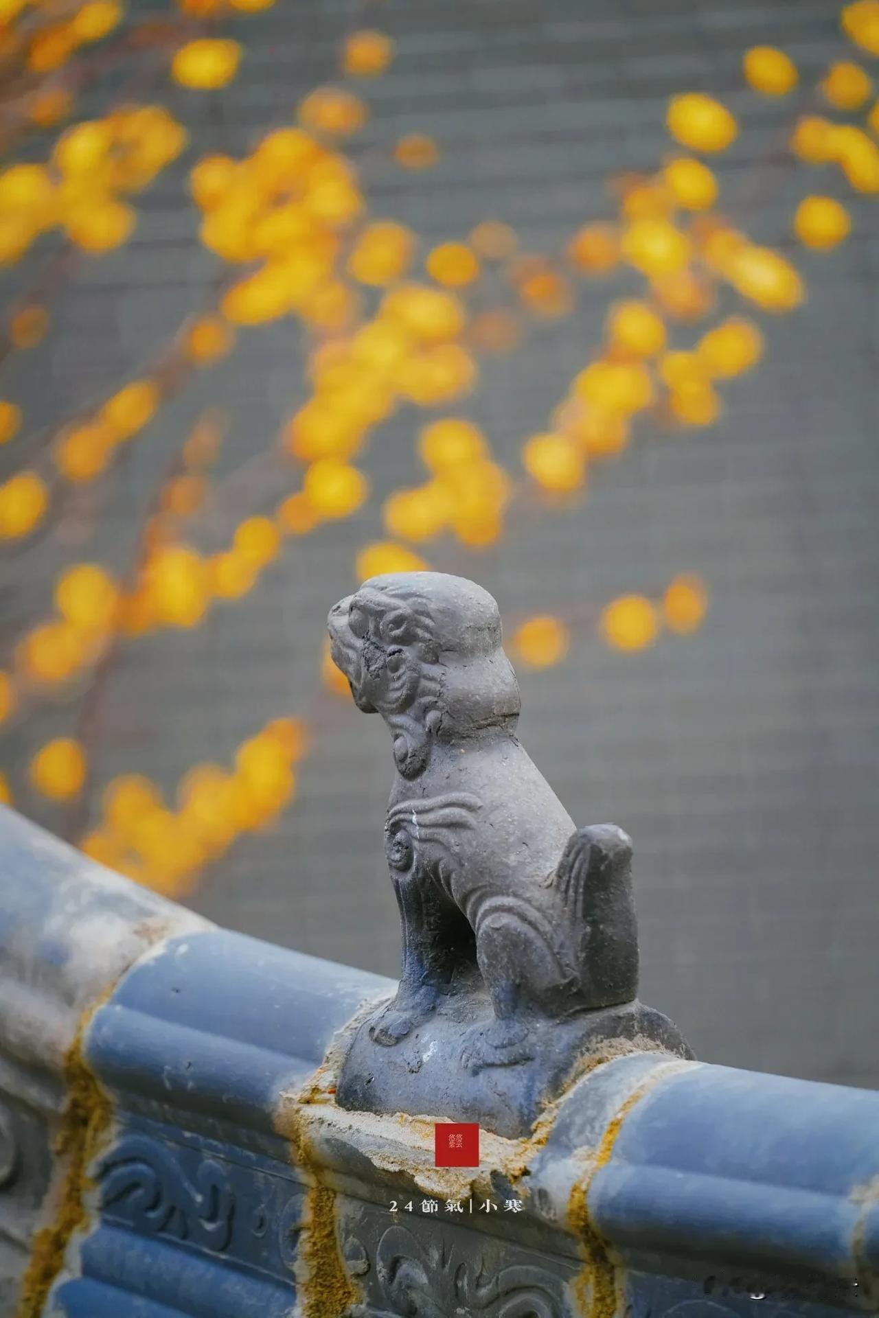 一“塔”一“树”入名录，襄阳文脉续新篇
 
“广德寺多宝塔·将军树”成功入选我国