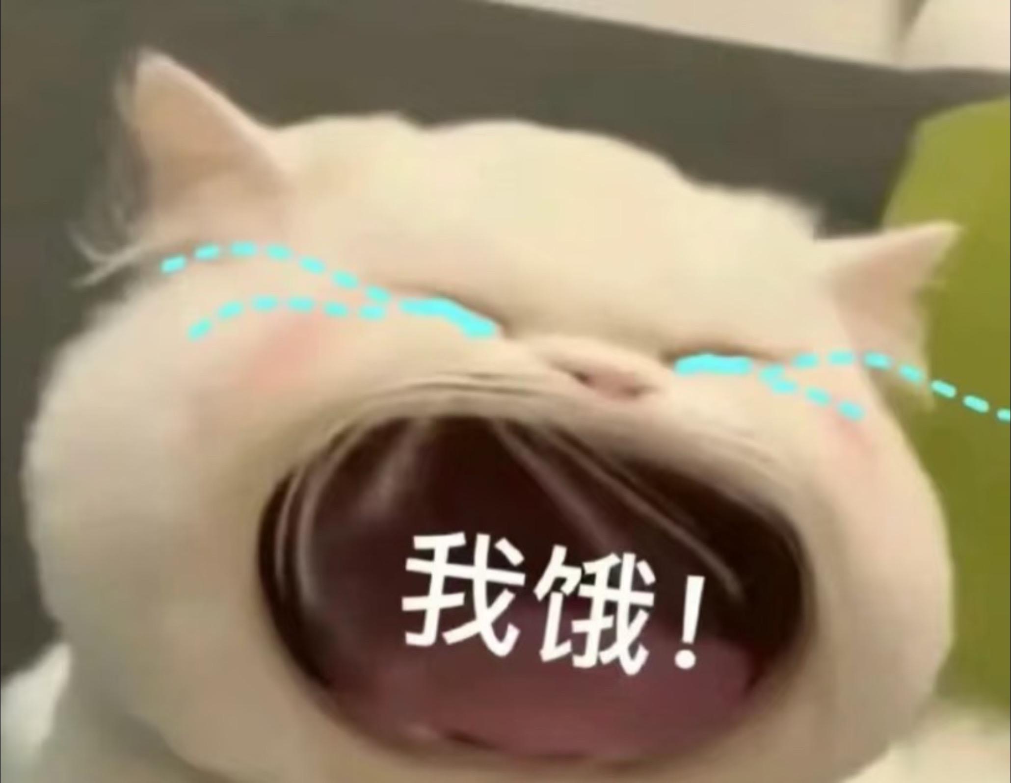 饿死不能吃