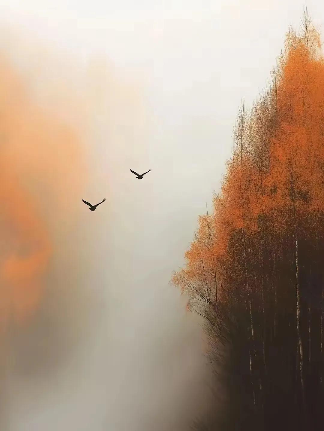 "如果有人给你发下雪的照片，

 你应该回复他"我也想你了"，

因为，春赏百花