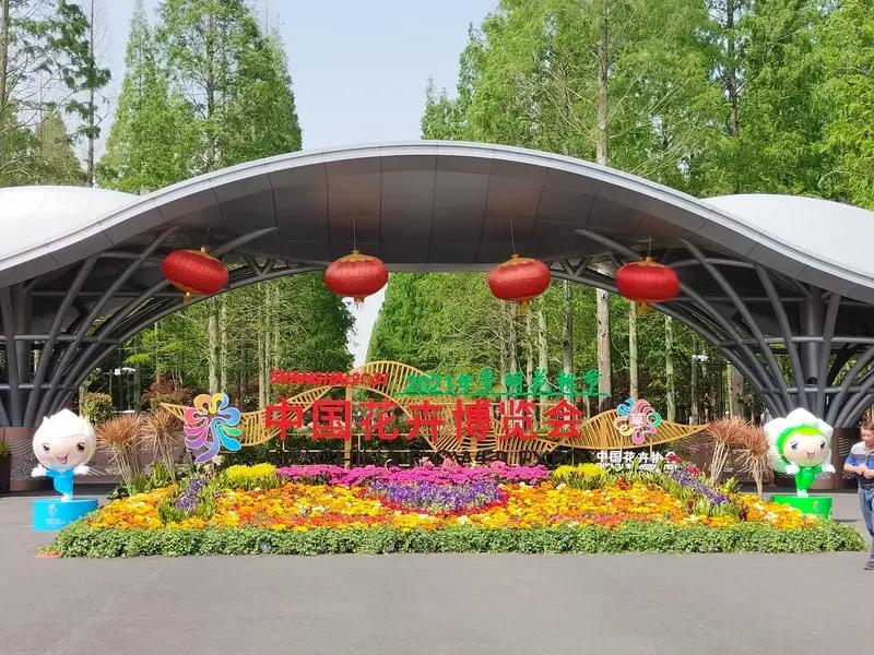 清明假期如果天气好的话，
非常适合近郊走走看看。
上海植物园我🈶好多年没去过了