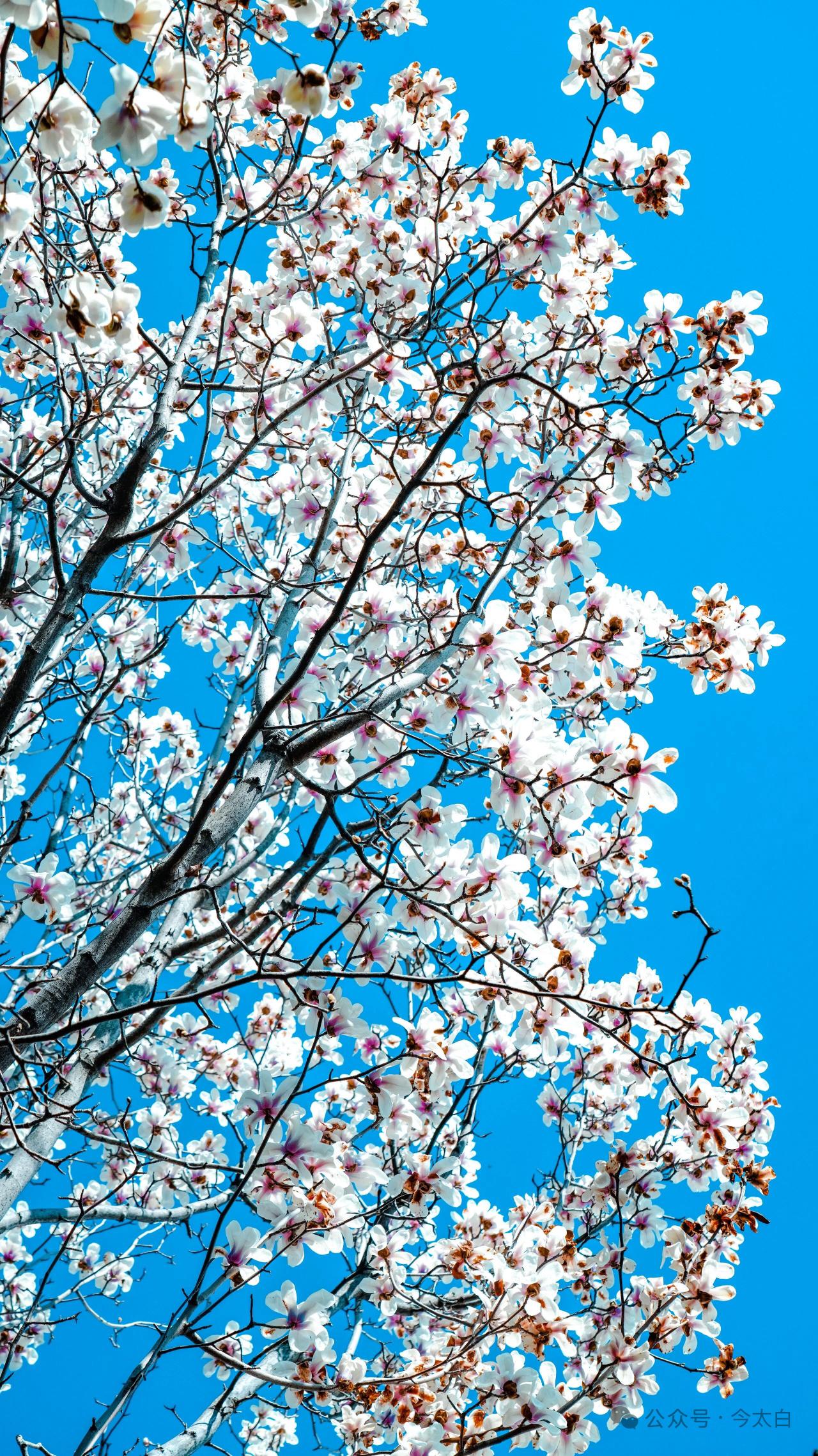 我的今日状态：😁轻松愉快
我这里的天气：☀️晴天