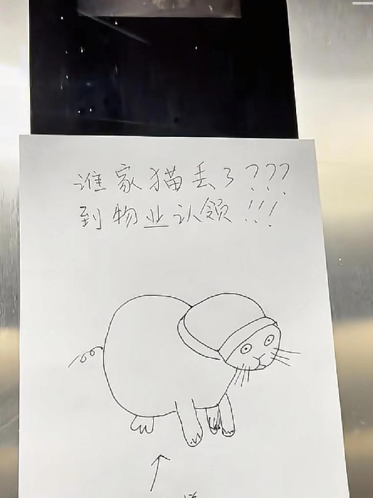 刚开始业主以为物业在开玩笑，因为一家物业在电梯里面贴了一张自画像，说是物业捡了一