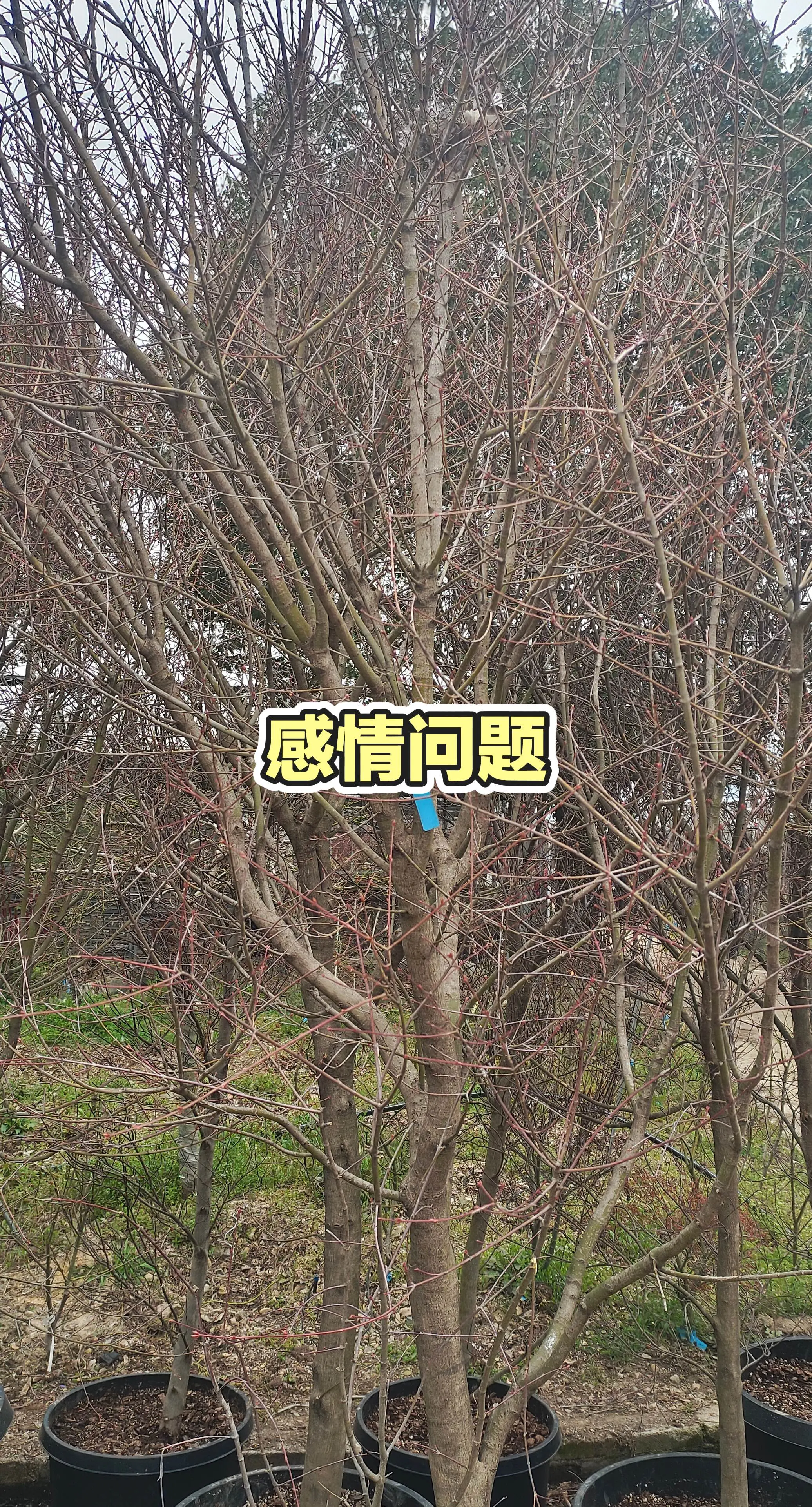 分享有趣的视频