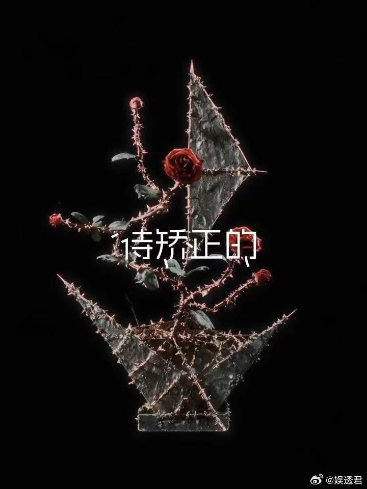 马嘉祺EP先行曲预告马嘉祺唯我论者的独白 很难不被这支预告打动，没有繁杂的修饰，
