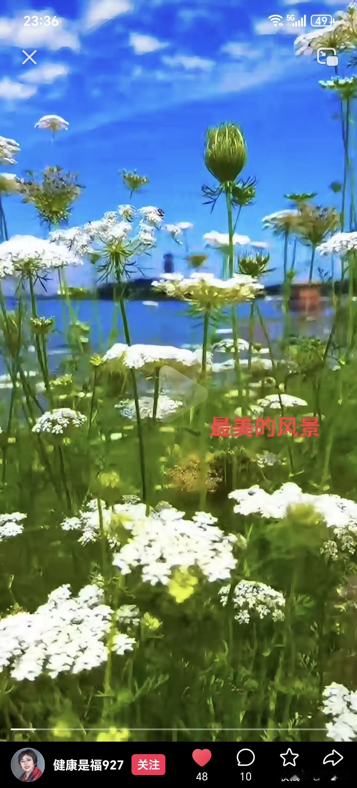 我认为更幸福从物质层面而言，如今的孩子所拥有之物丰富多元。我们小时候，玩具数量稀