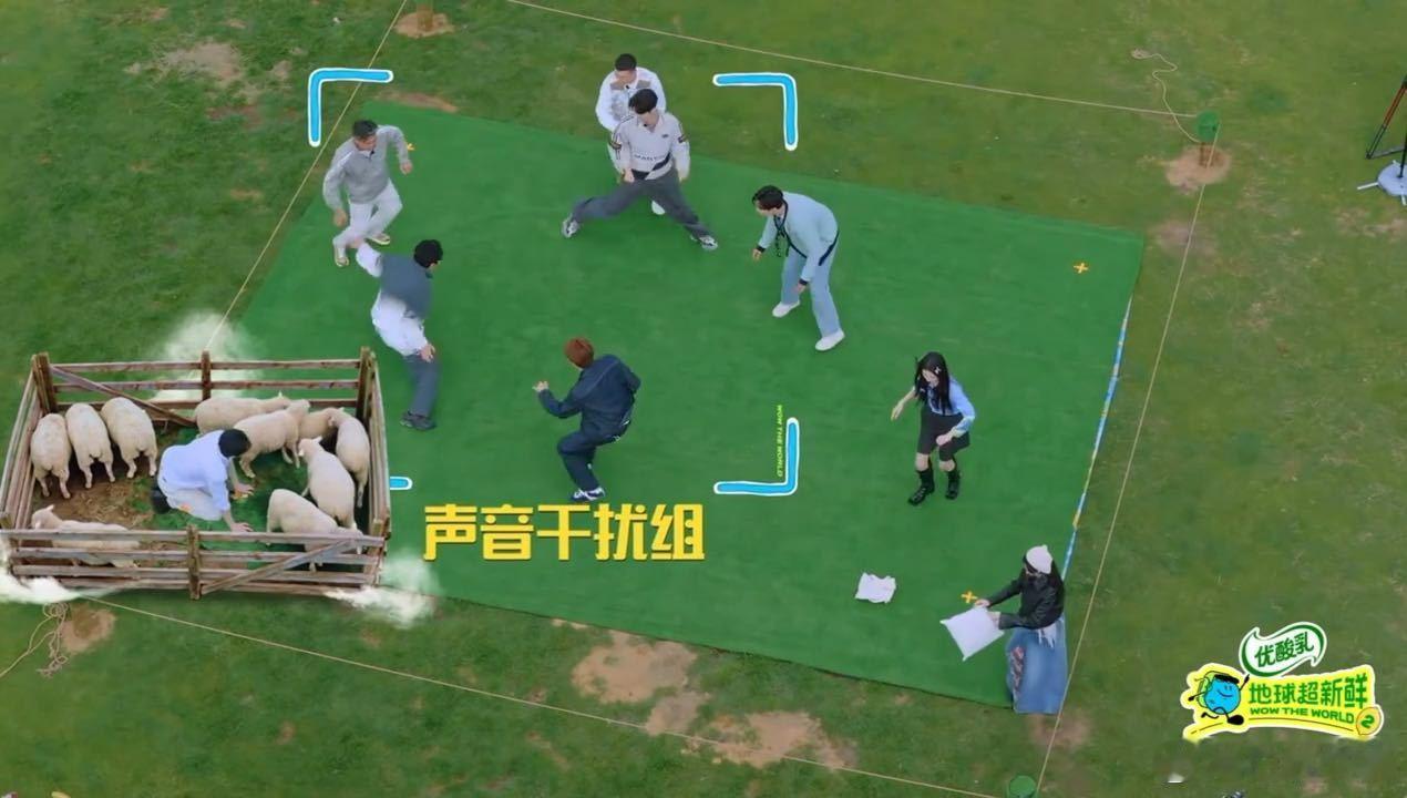 刘宇宁无助可怜且大只刘宇宁宁活走位地球超新鲜高大身形限制刘宇宁躲藏，化身小羊后看