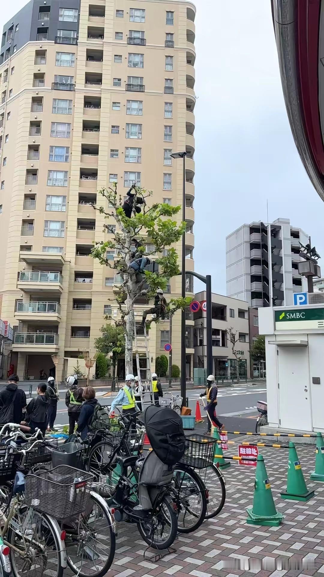 终于知道为啥日本人员短缺了。

​去超市一出来，门口咋这么多人呢，一抬头好家伙，