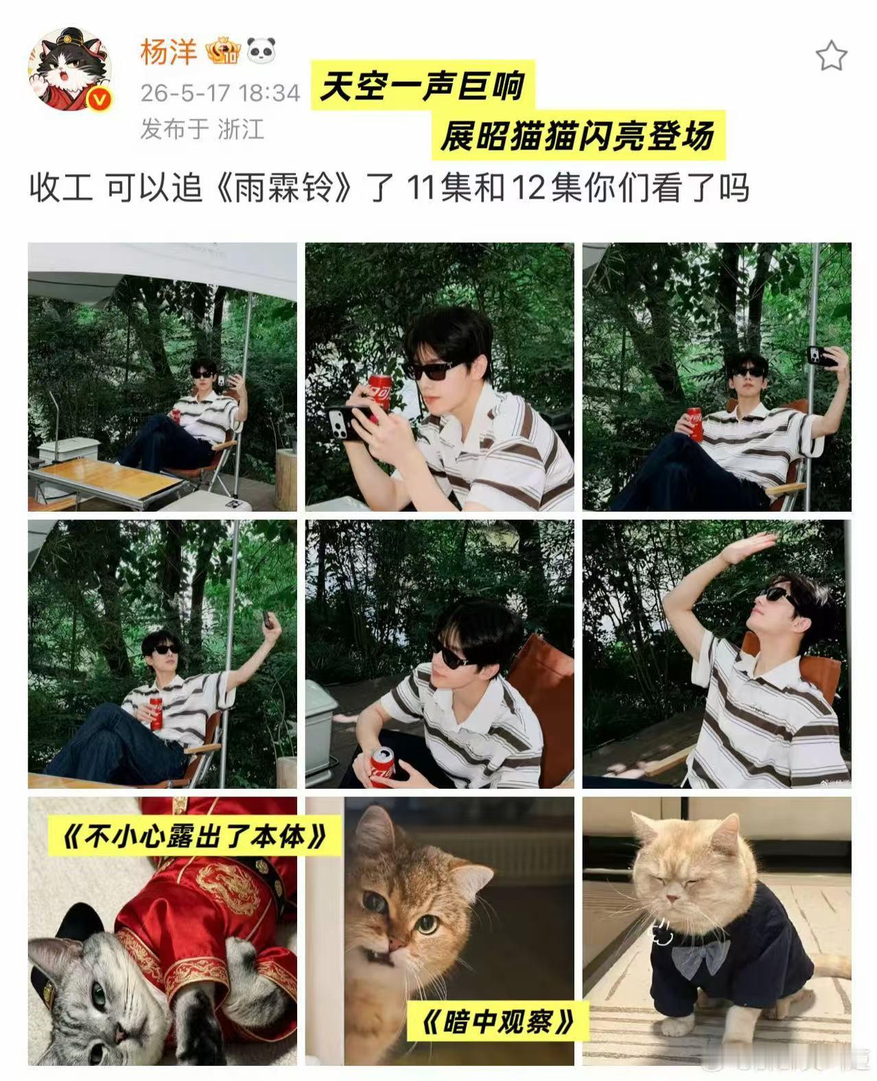 杨洋是猫的证据又多了一个杨洋伴手礼送猫包 展昭在剧里是御猫，杨洋在生活中送猫包。
