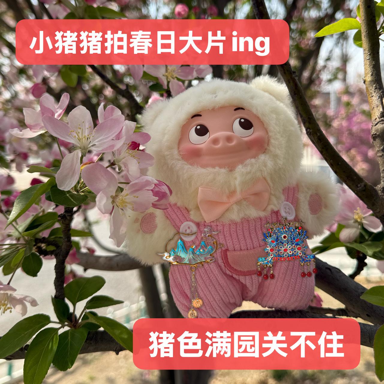 故宫春日氛围感拉满！没想到春天的出片率这么高 跟着《上新了故宫》找打卡点，美团订