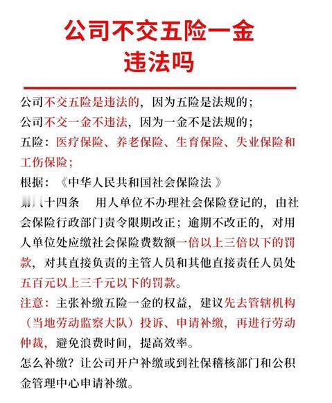 外卖员回应京东给骑手缴社保  为员工缴纳五险一金是企业的责任，如果真的可以落实到