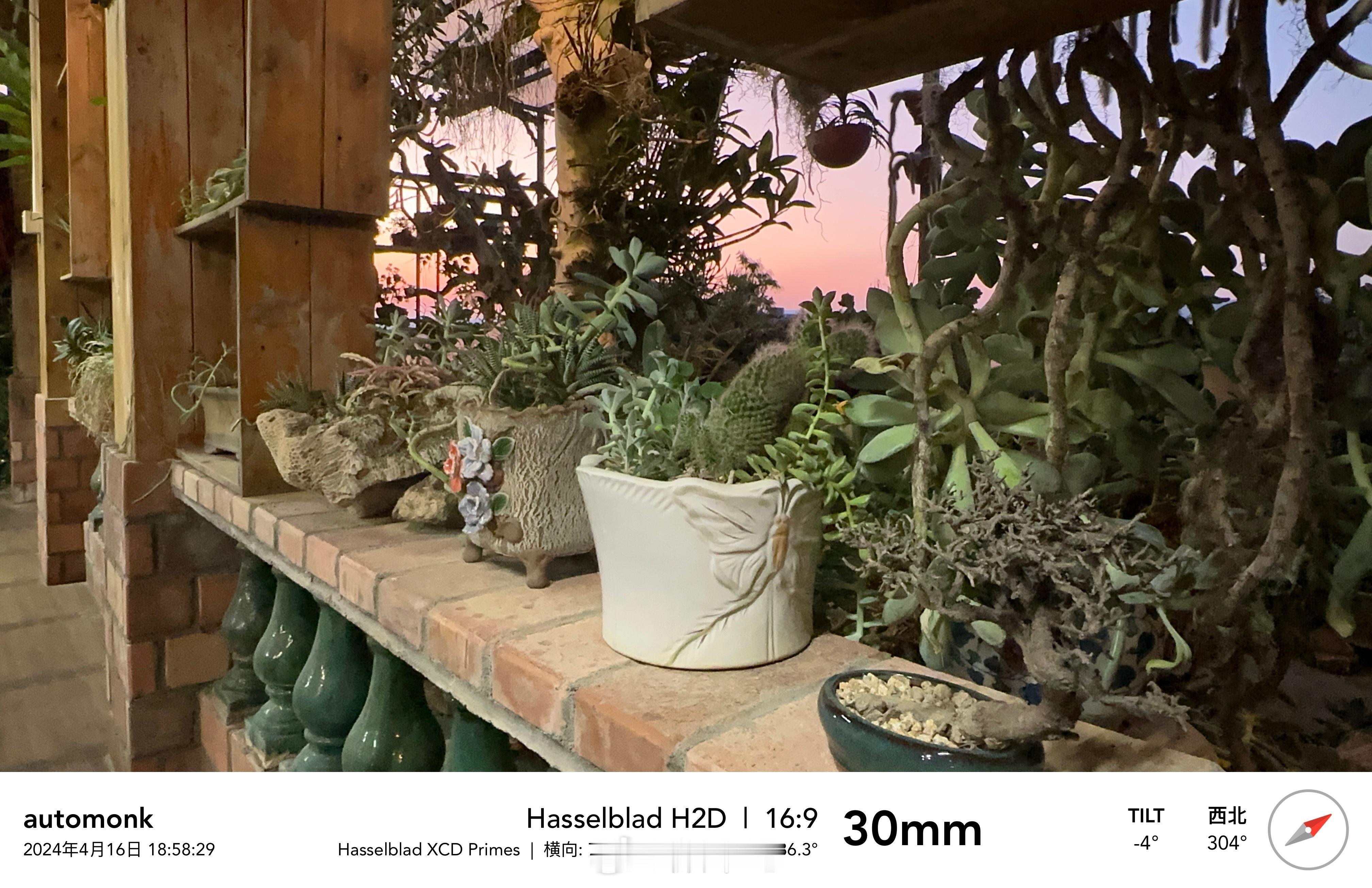 第一次见一家农家乐餐厅老板养殖多肉植物，且规模如此庞大，用餐体验就很舒服……😌