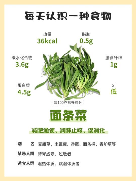 每天认识一种食物｜面条菜