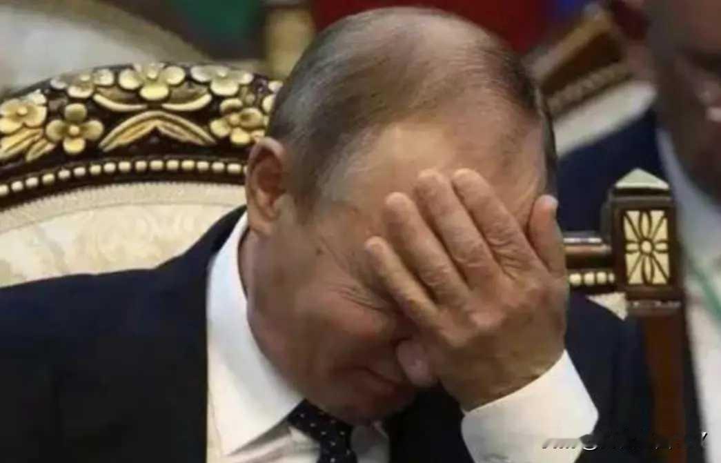 《莫斯科低头！乌克兰千架无人机直捣俄心脏，四年战局惊天逆转》

【开篇】

当全