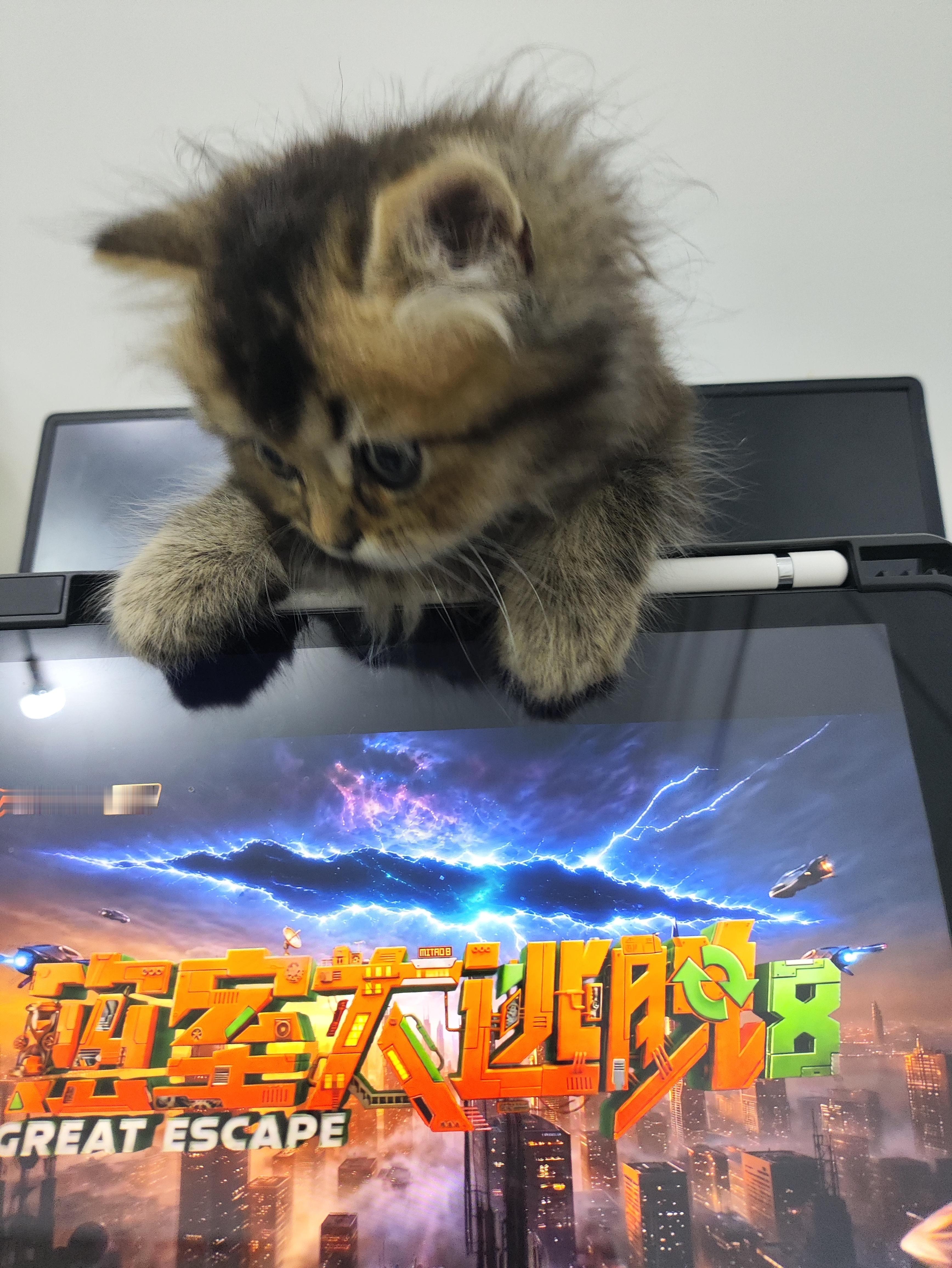 小朋友你是不是有很多问号 