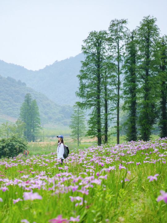 宁波爬山徒步｜湖畔秘境 花海漫步