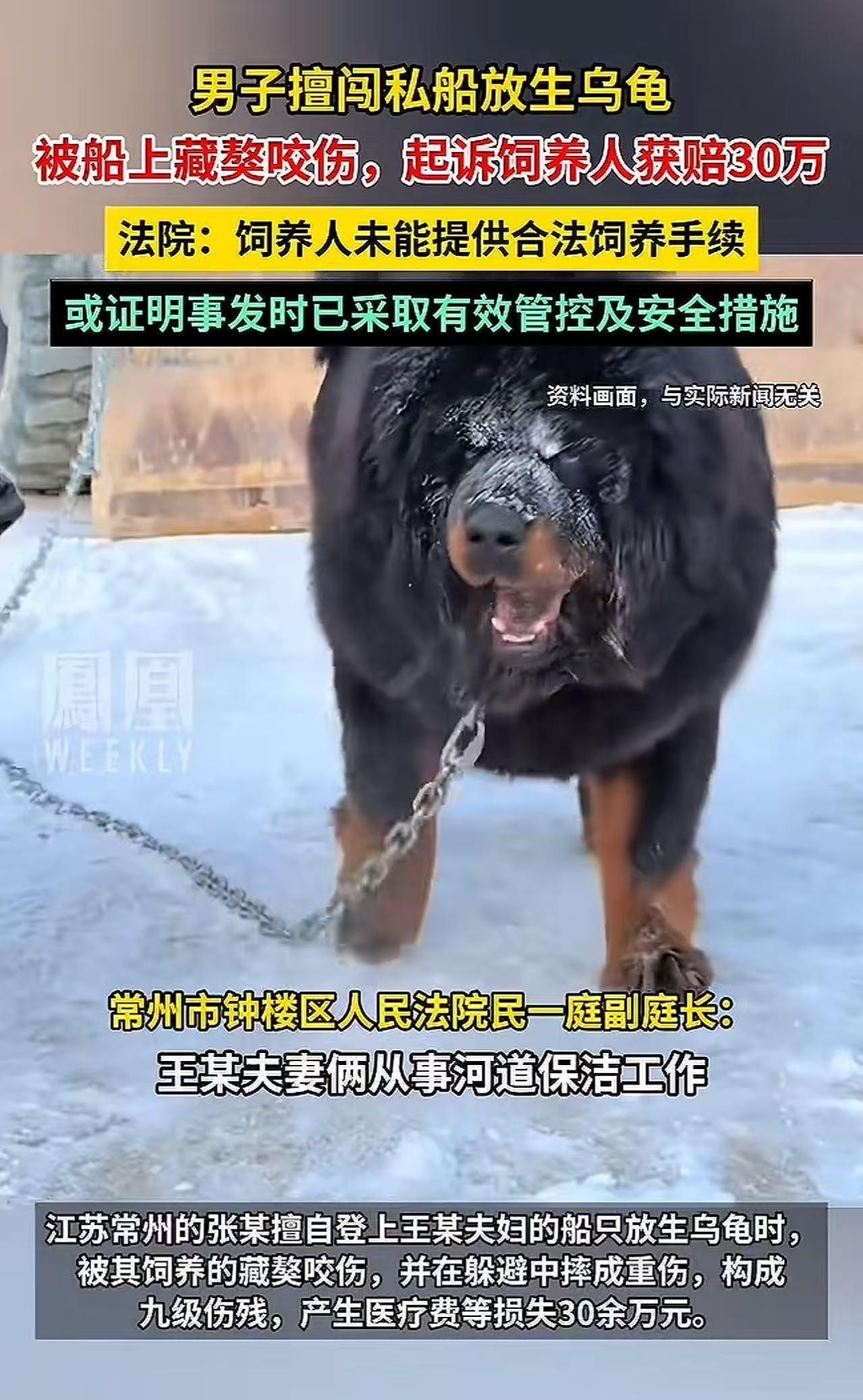 江苏常州，男子擅自上私家船放生乌龟，被船上藏獒咬伤，躲避时摔成9级伤残，要求船主
