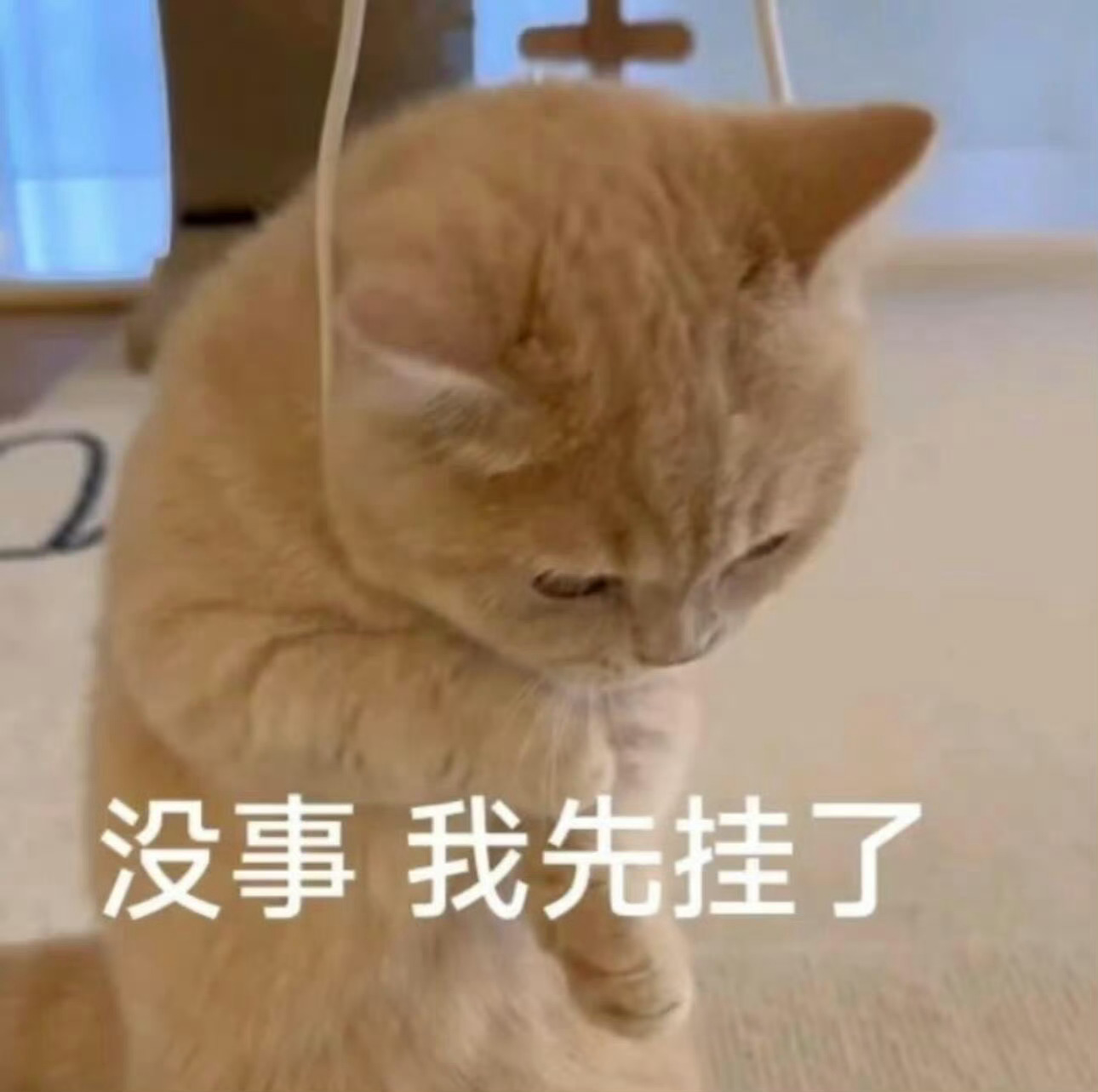 细狗能不能不要演攻！甄心和张准跟这俩人外形有一毛钱关系吗！这么有性张力的两个角色