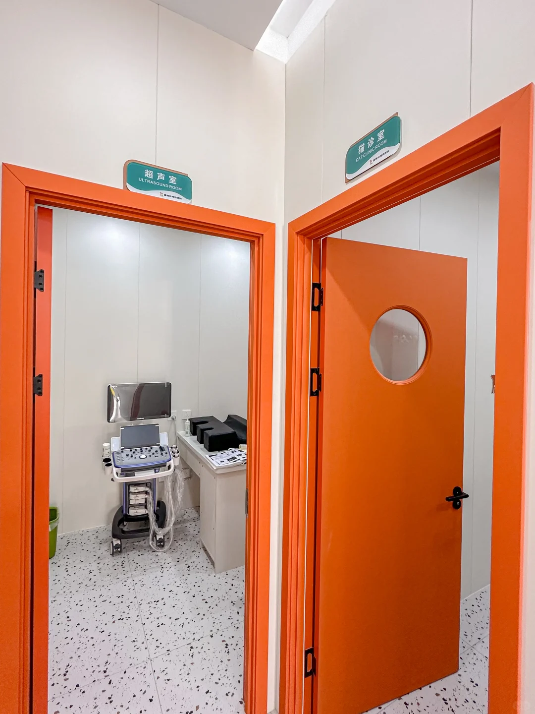 在长春！终于给喵主子找到了靠谱的宠物医院