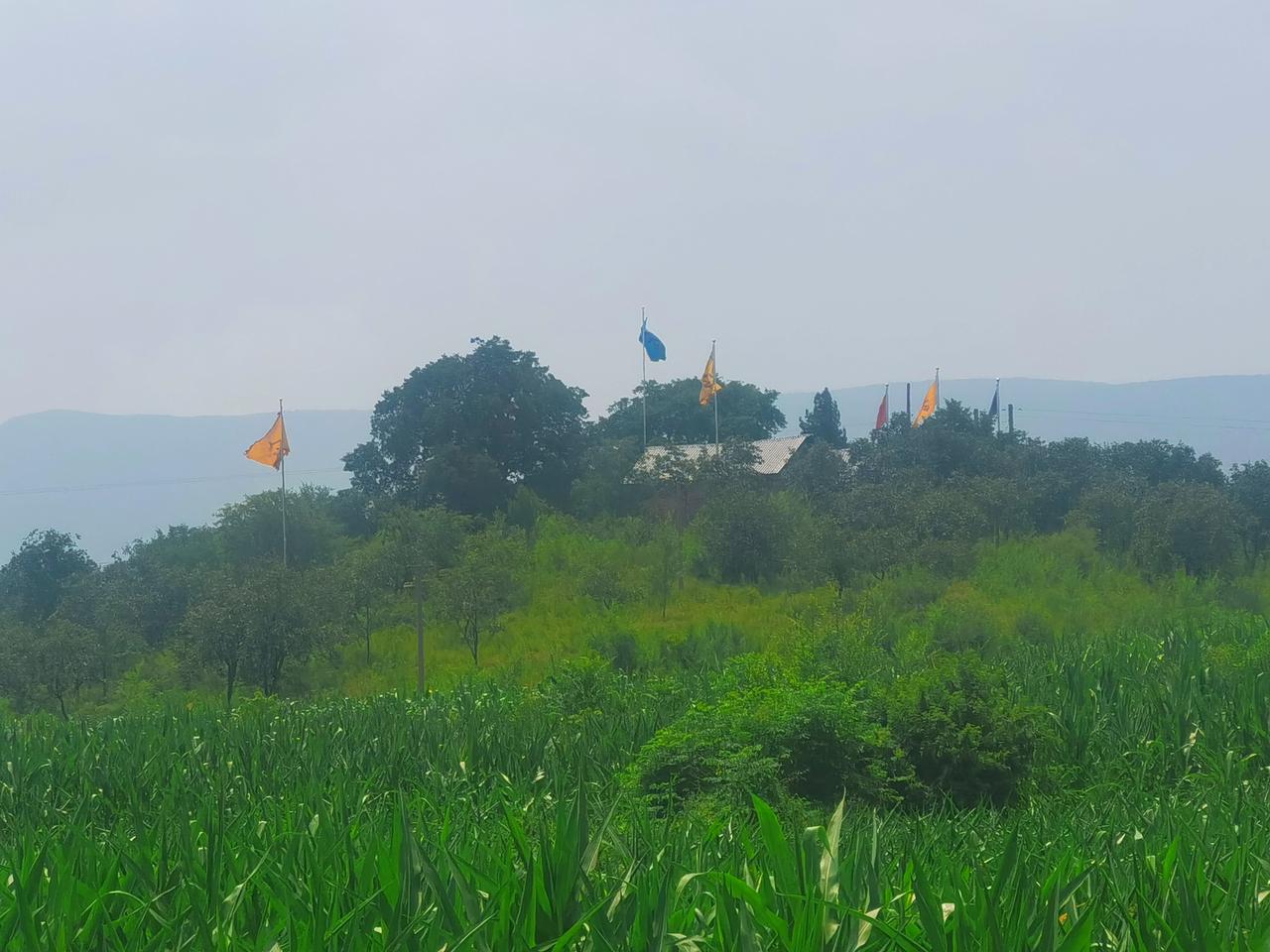 你愿意秀一下手机里随手拍的照片吗汝阳县蔡店乡草营村