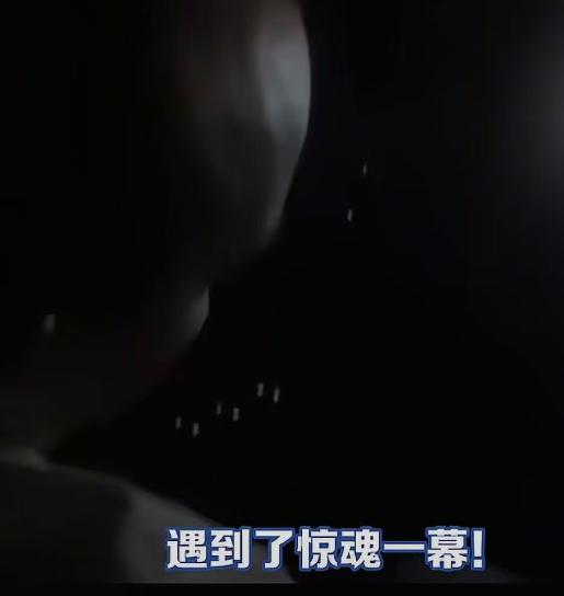 坐顺风车跑高速，本该是司机专心把控方向盘、保障全车安全，可这位女乘客却遭遇了这辈