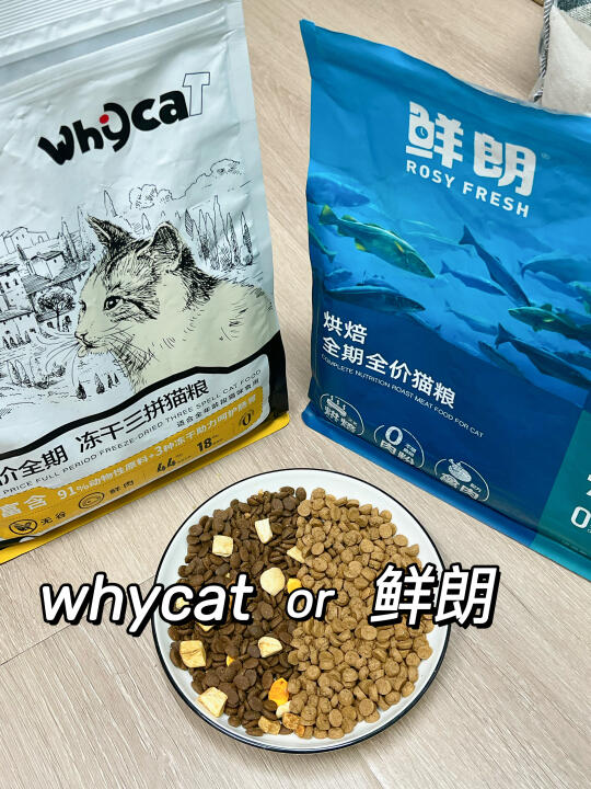 纠结到头秃‼️whycat和鲜朗到底怎么选