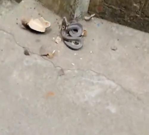 胆子真大！湖南一男子捡到个酒瓶，以为是古董，就踢了一脚！结果，发现瓶子里竟然有动