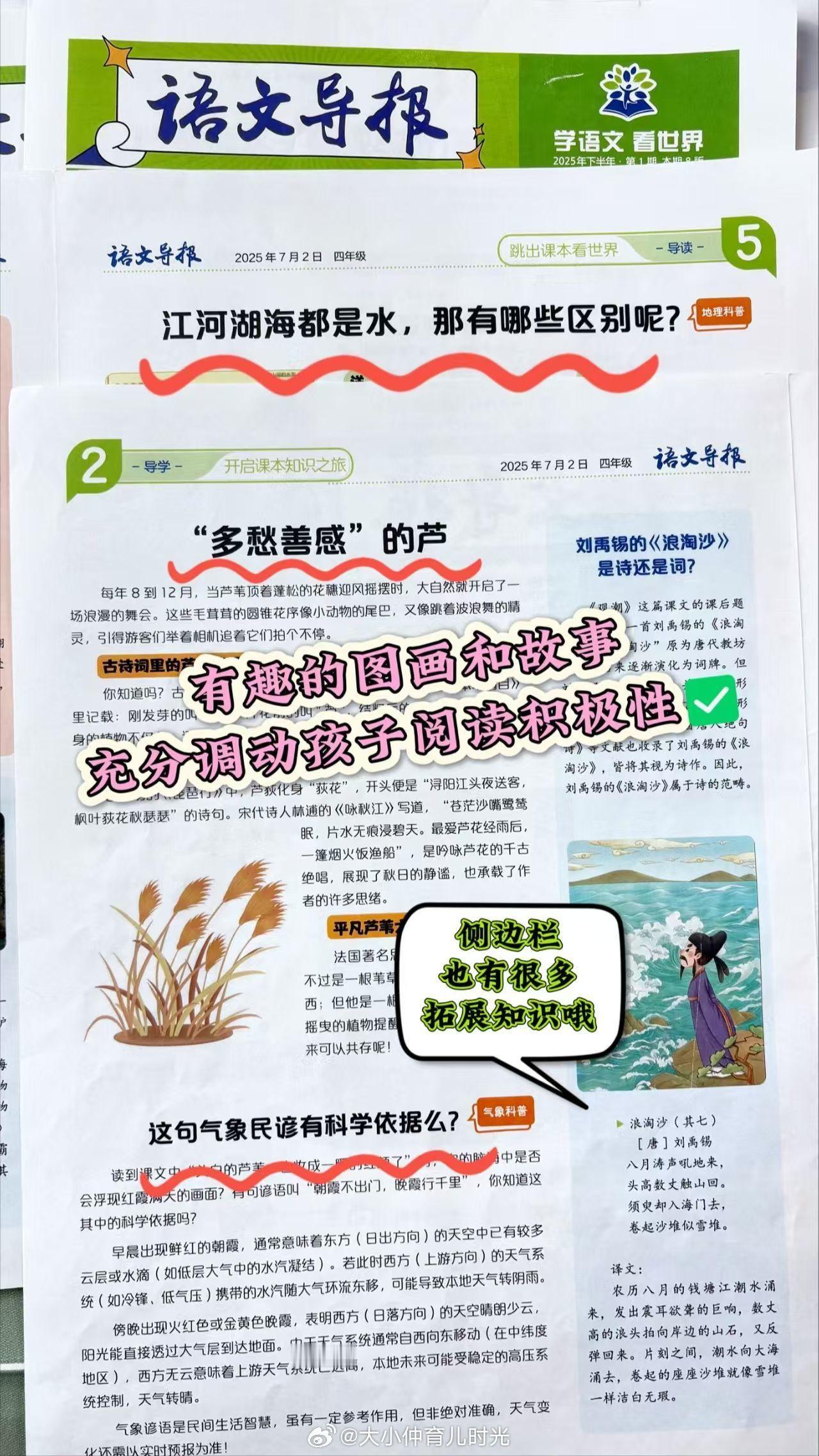 学语文看世界 大语文导报，从小学到高中都有！我留了初中的给小仲，每天都没时间阅读