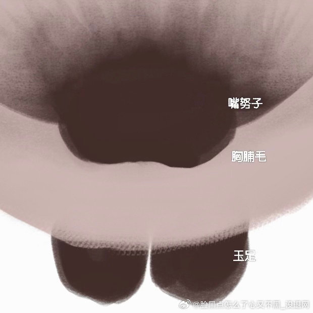 妹子们我想看这种角度的奥利奥逼罗(•̶̑ ૄ•̶̑) 