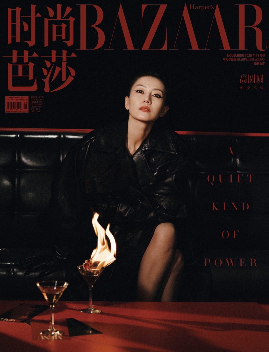 高圆圆你这是在玩火 高圆圆在火光下优雅绽放，红唇与冷眸相映成趣，火焰中她的轮廓更