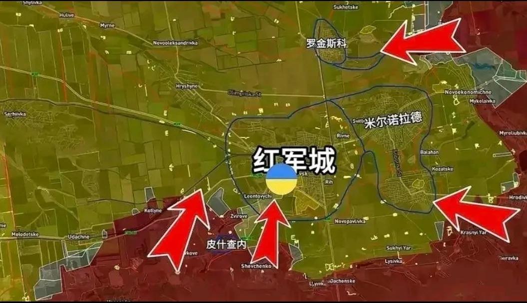 小乌太顽强了，从2024年2月开始守红君城，现在已经守城两年零一个月时间。大鹅多