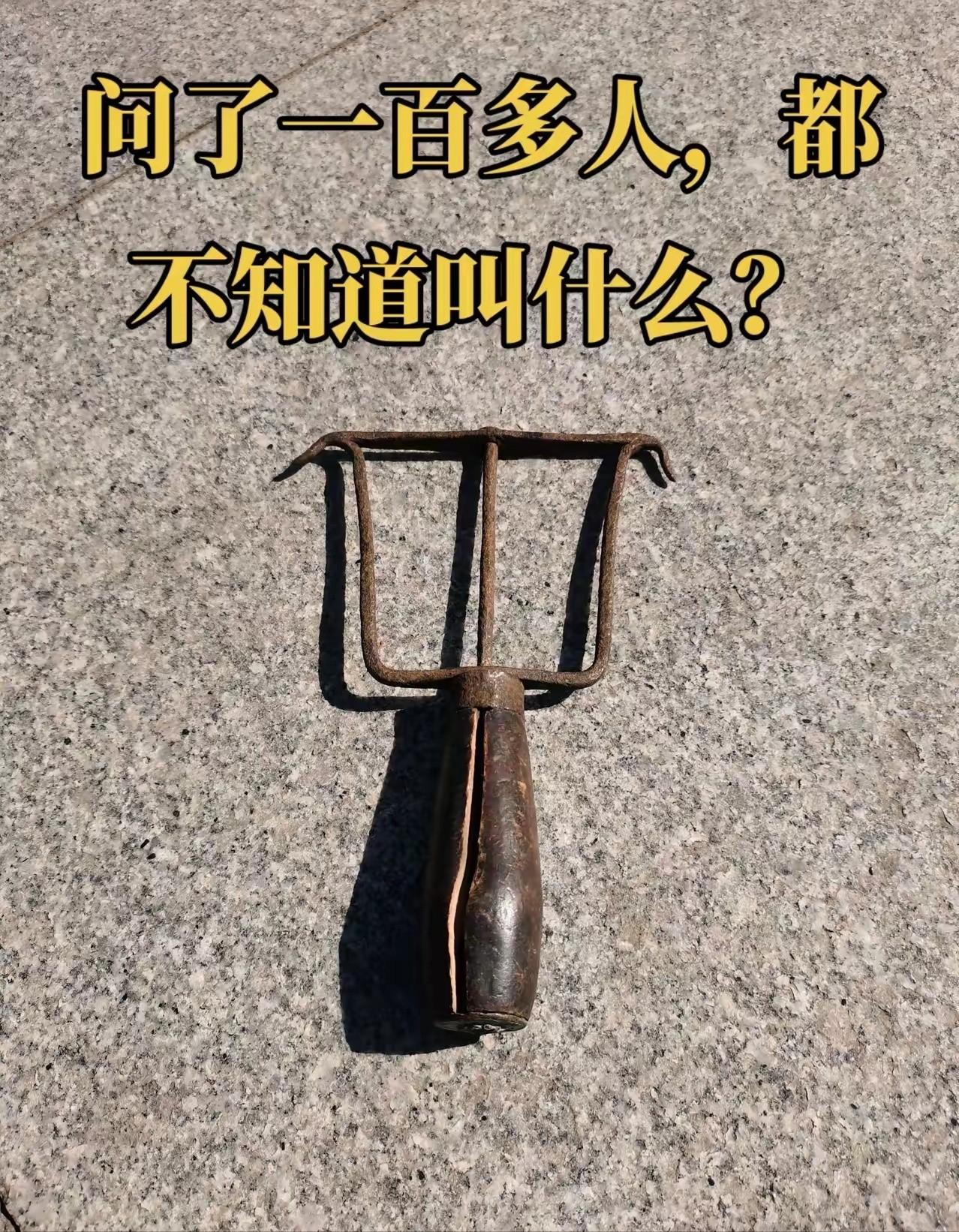 我敢打赌，100个人里面有98个人都叫不出来它们的名字！
就这玩意儿， 别说年轻