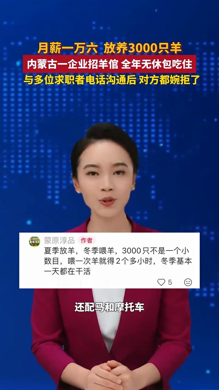 月薪一万六放养3000只羊，内蒙古一企业招羊倌全年无休包吃住。
安徽视讯数字主播
