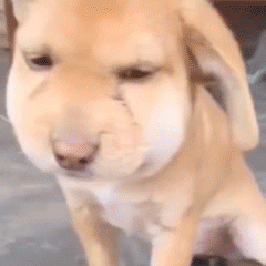 男子丽江旅游中奖1034万羡慕了旅游顺便还能中大奖俺们这种没有偏财运的刮刮乐都没