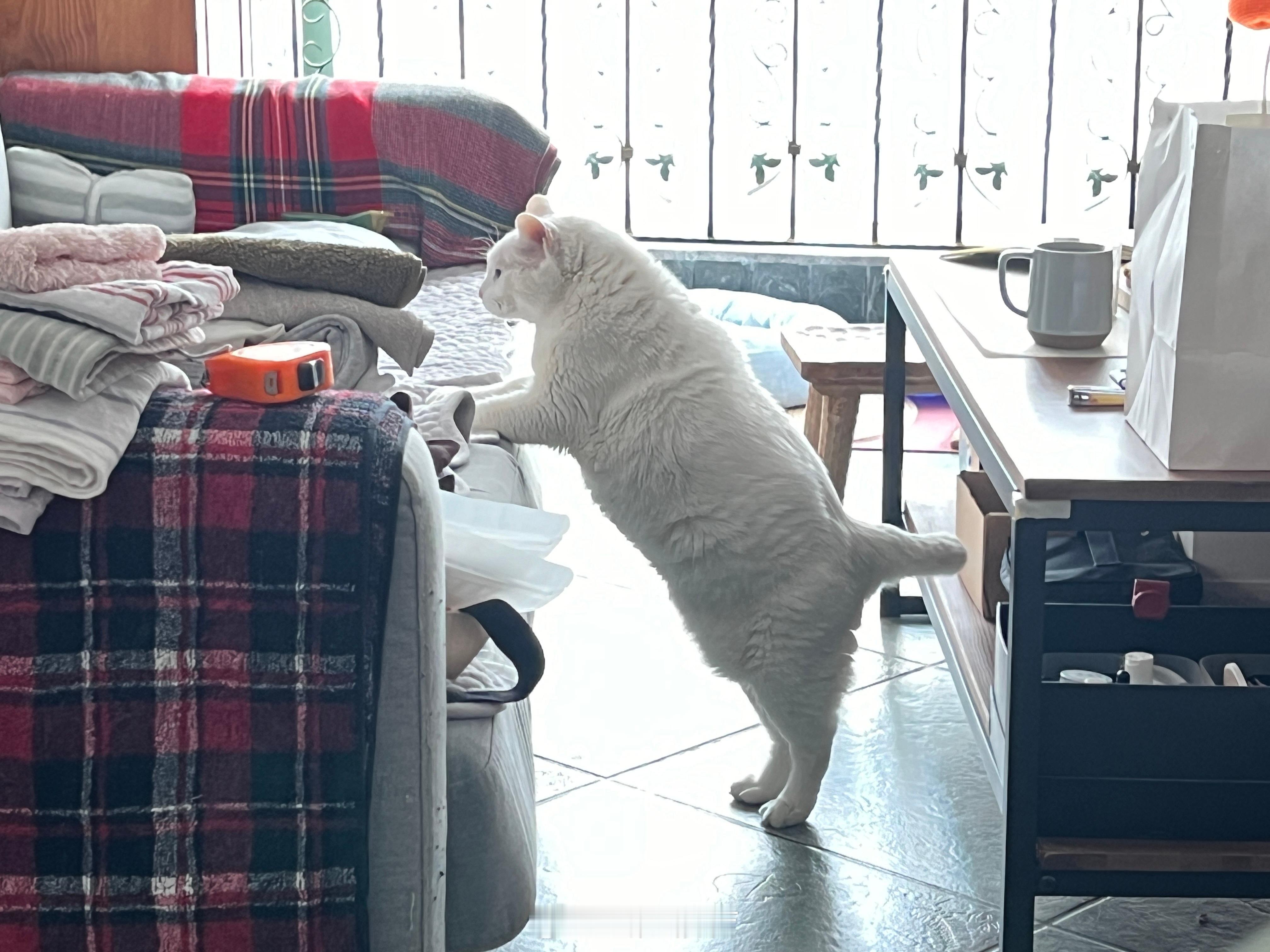 這樣腰包就不見惹～ ​​​