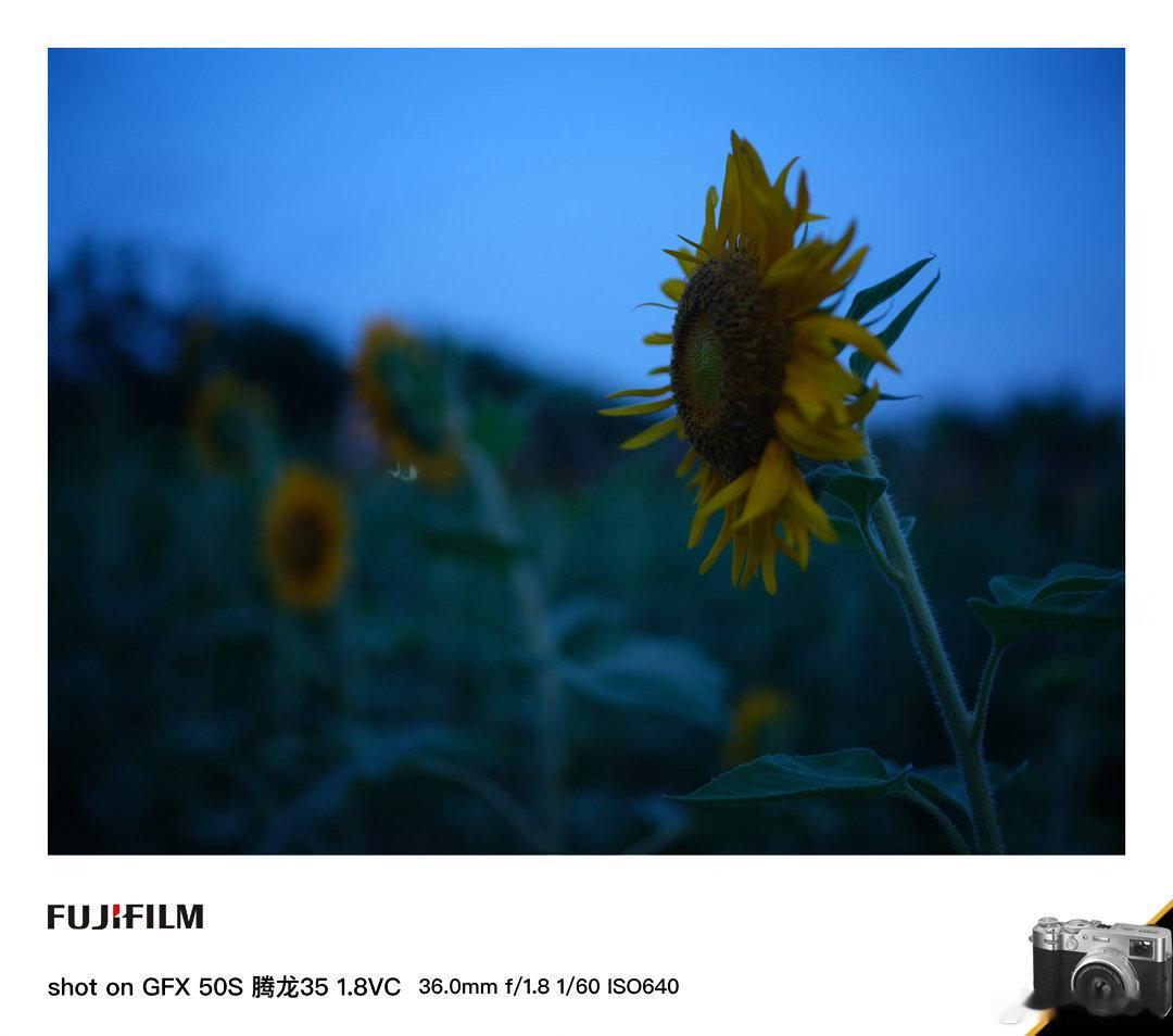 广州黄埔蓝调之夜的浪漫，拍摄于黄埔水西广州记录生活 腾龙35 1.8VC 广州·