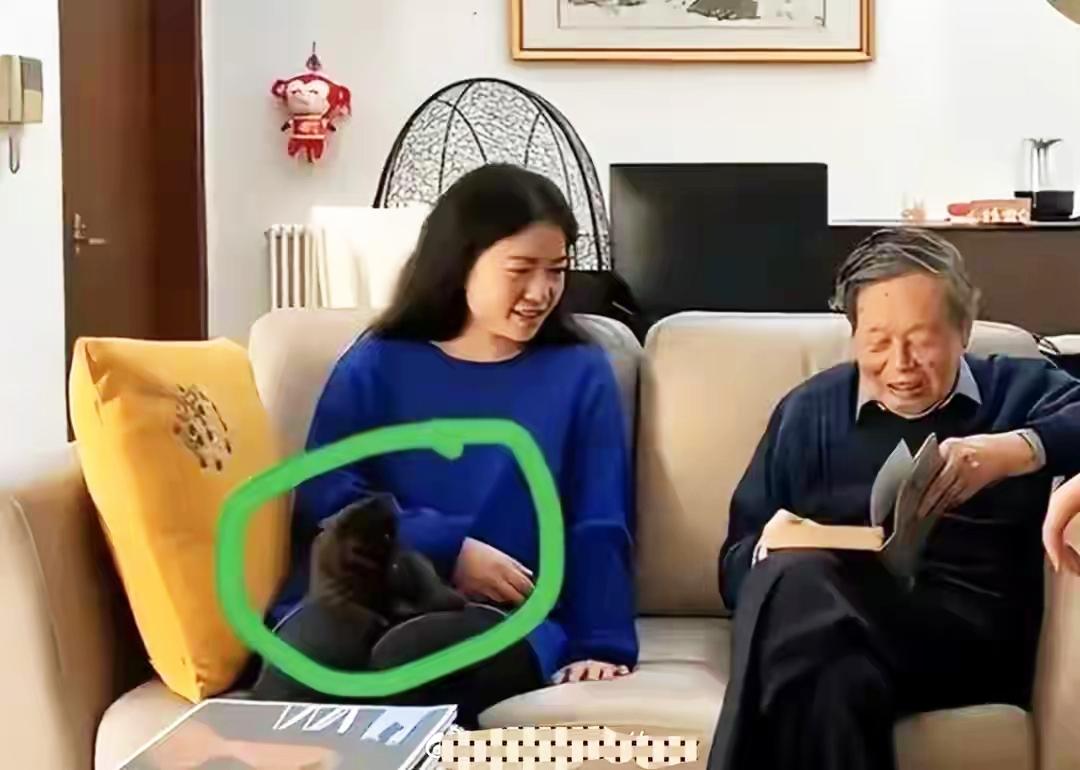 杨振宁和翁帆相处最温馨的画面！橘黄色的灯光下，年迈的杨振宁正在读书，

妻子翁帆