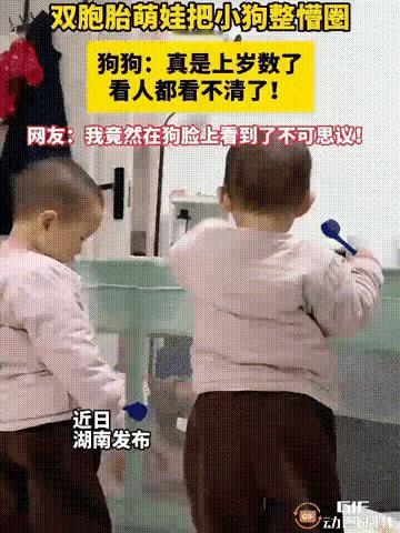 笑不活了！湖南一对双胞胎娃去找小狗玩，可把小狗整懵圈了！俩娃长得一模一样，穿的衣